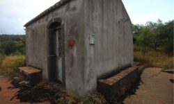 Linguaglossa Terreno agricolo con piccolo palmento