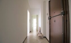 Mascalucia via Tremestieri 2,5 vani con cucina