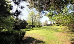 Depandance in villa 85mq. con parco e piscina