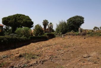 CERZA TERRENO EDIFICABILE DI 1300MQ