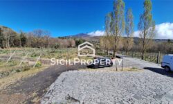 Pedara terreno di 3,5 ettari con VIGNETO e VILLA