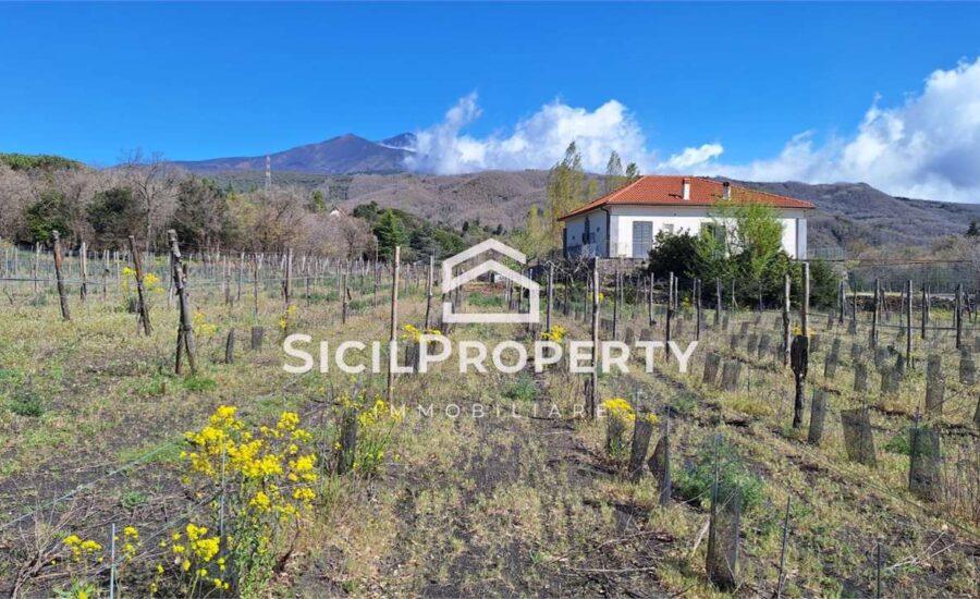 Pedara terreno di 3,5 ettari con VIGNETO e VILLA