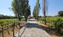 Pedara VILLA 150mq con Vigneto di 2,5 ettari