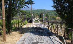 Pedara VILLA 150mq con Vigneto di 2,5 ettari