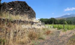 Pedara terreno di 3,5 ettari con VIGNETO e VILLA