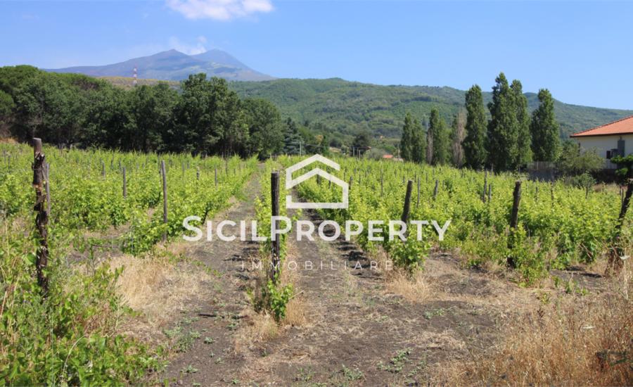 Pedara terreno di 3,5 ettari con VIGNETO e VILLA