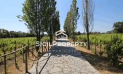 Pedara VILLA 150mq con Vigneto di 2,5 ettari