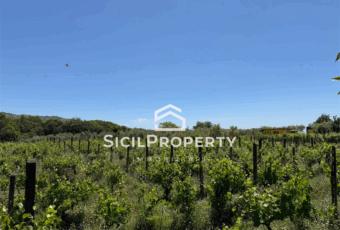 Linguaglossa terreno 1,6 ettari con VIGNETO