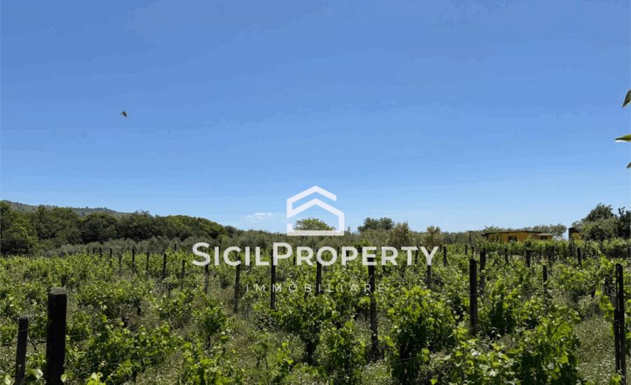 Linguaglossa terreno 1,6 ettari con VIGNETO